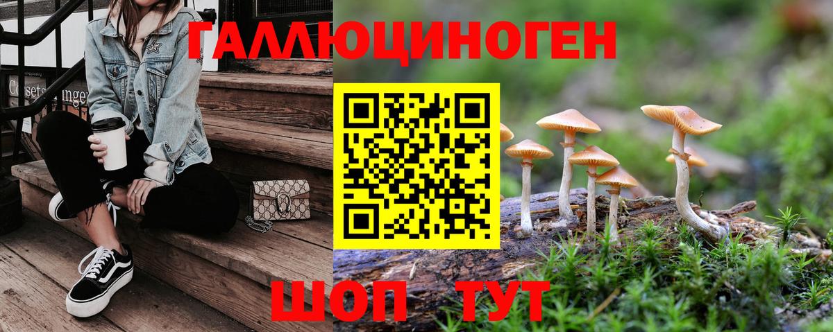 Сегежа  Псилоцибиновые грибы ЛСД  Вход с VPN 